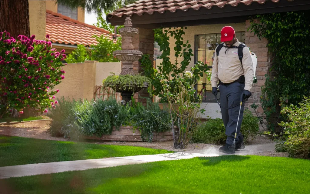 Phoenix Pest & Termite Control